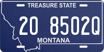 MT license plate 208502Q