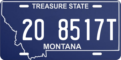 MT license plate 208517T