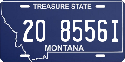 MT license plate 208556I