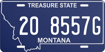 MT license plate 208557G