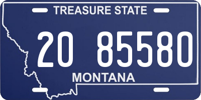 MT license plate 208558O