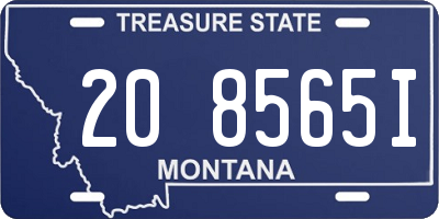 MT license plate 208565I