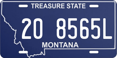 MT license plate 208565L