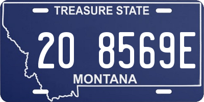 MT license plate 208569E