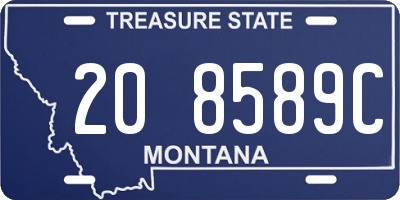 MT license plate 208589C
