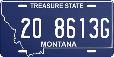 MT license plate 208613G