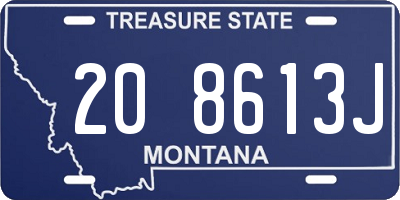 MT license plate 208613J