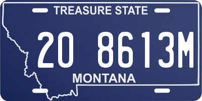 MT license plate 208613M