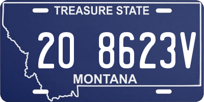 MT license plate 208623V