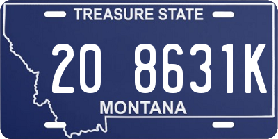 MT license plate 208631K
