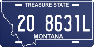 MT license plate 208631L