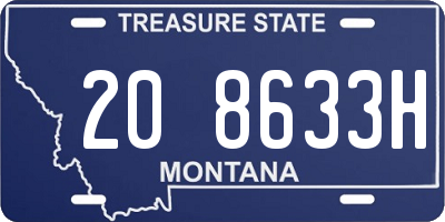 MT license plate 208633H