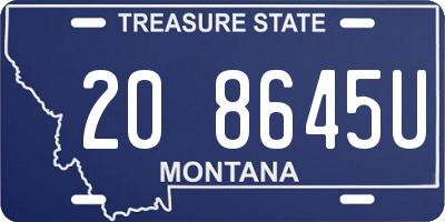 MT license plate 208645U
