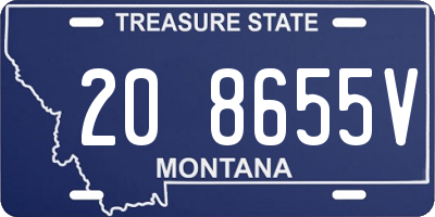 MT license plate 208655V