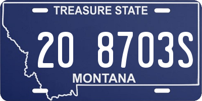MT license plate 208703S