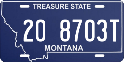 MT license plate 208703T