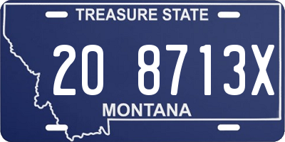 MT license plate 208713X