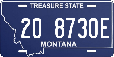 MT license plate 208730E