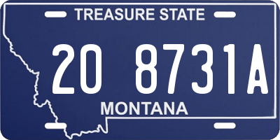 MT license plate 208731A