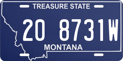 MT license plate 208731W