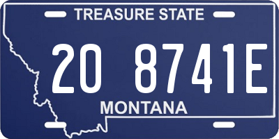 MT license plate 208741E