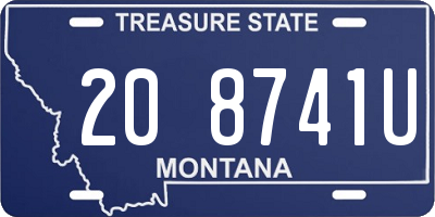 MT license plate 208741U
