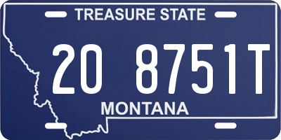 MT license plate 208751T