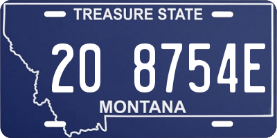 MT license plate 208754E