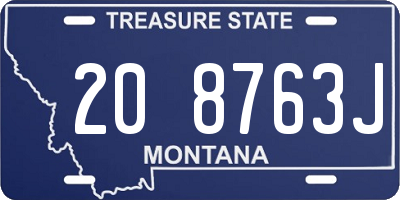 MT license plate 208763J