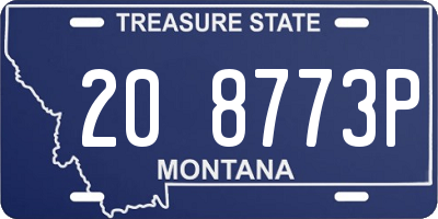 MT license plate 208773P