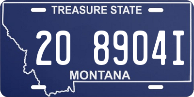 MT license plate 208904I
