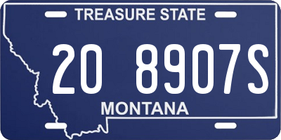 MT license plate 208907S