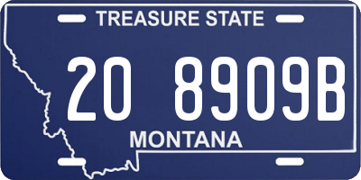 MT license plate 208909B