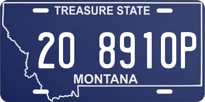 MT license plate 208910P
