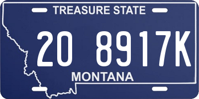 MT license plate 208917K