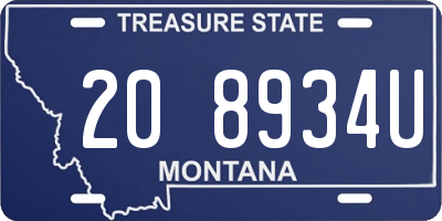 MT license plate 208934U