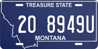 MT license plate 208949U
