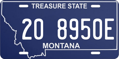 MT license plate 208950E