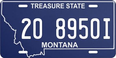 MT license plate 208950I