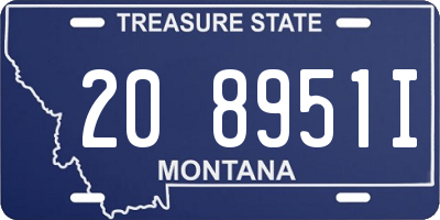 MT license plate 208951I