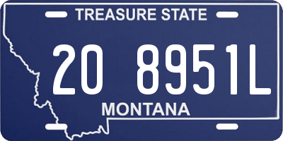 MT license plate 208951L
