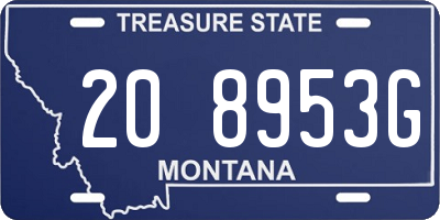MT license plate 208953G