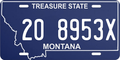 MT license plate 208953X