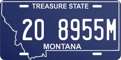 MT license plate 208955M