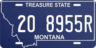 MT license plate 208955R
