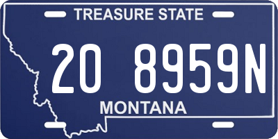 MT license plate 208959N