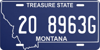MT license plate 208963G