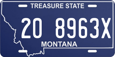 MT license plate 208963X
