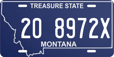 MT license plate 208972X