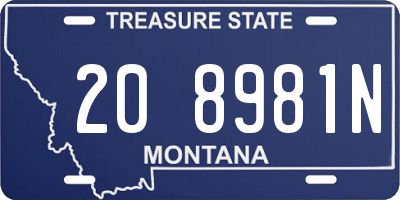 MT license plate 208981N